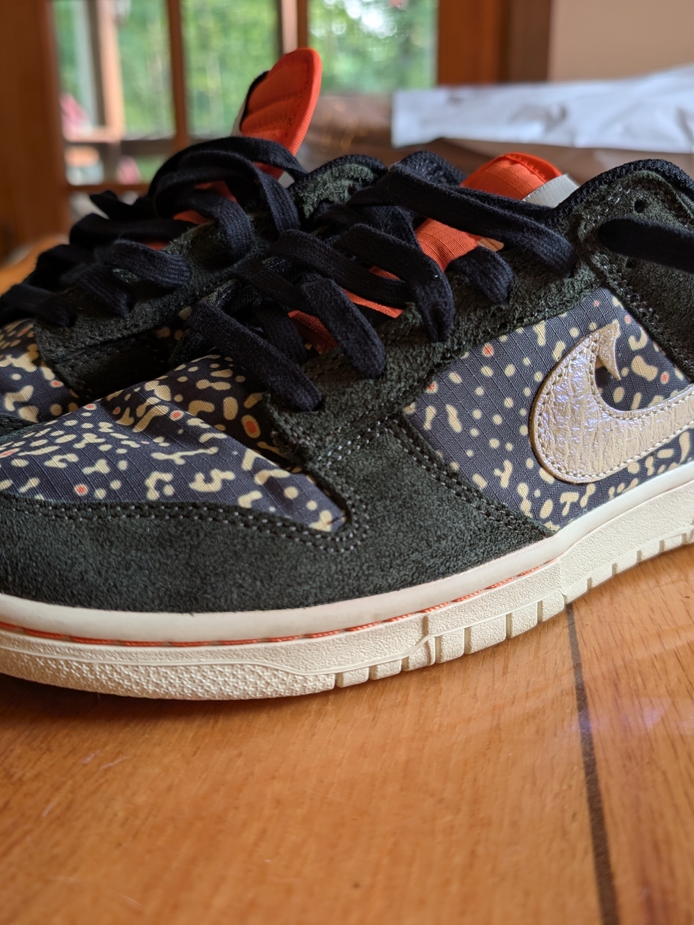 FN7523-300 belongs to the Nike Dunk Low SE "Gone Fishing - Rainbow Trout